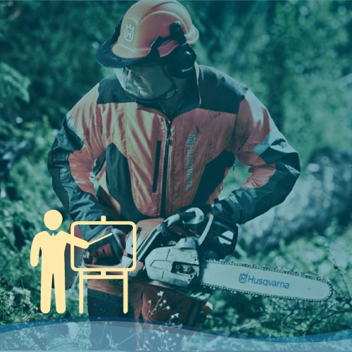 Addetto all’uso in Sicurezza della Motosega