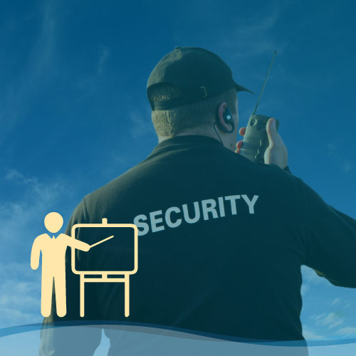 Addetto servizio controllo - Ex Buttafuori