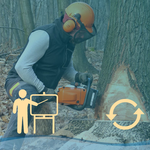 Aggiornamento Addetto all’uso in Sicurezza della Motosega