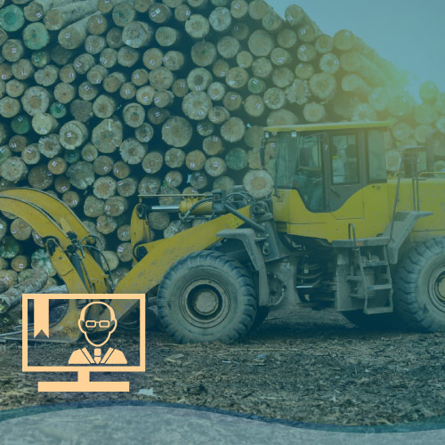 Pale Caricatrici Frontali