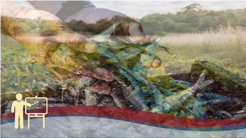 RSPP/ASPP – MODULO B – SP1 (AGRICOLTURA, PESCA)