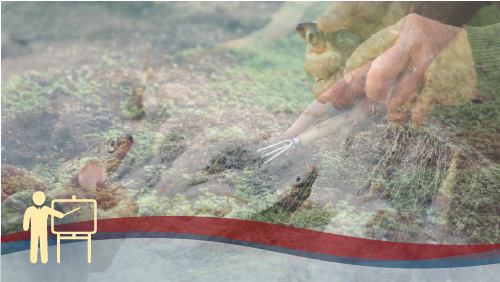 RSPP/ASPP – MODULO B – SP1 (AGRICOLTURA, PESCA)