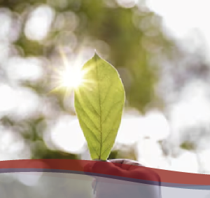 Transizione Ambientale - 2° Livello